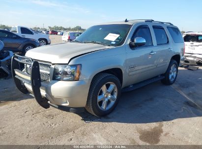 Lot #3035085914 2013 CHEVROLET TAHOE LS