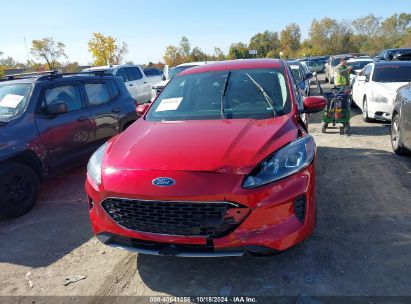 Lot #2995298077 2020 FORD ESCAPE SE