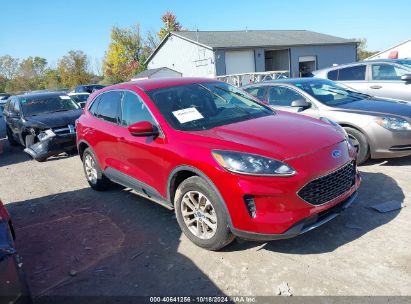 Lot #2995298077 2020 FORD ESCAPE SE