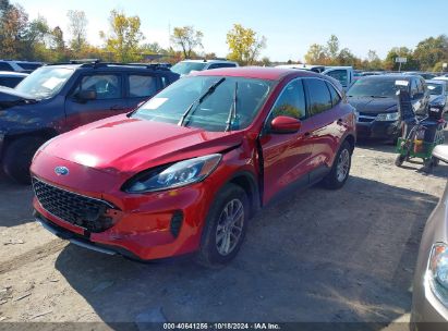 Lot #2995298077 2020 FORD ESCAPE SE