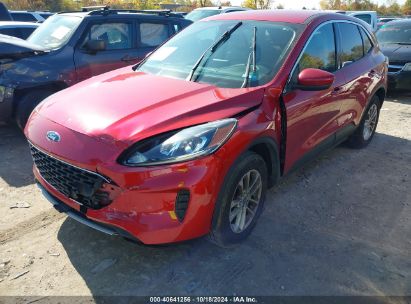 Lot #2995298077 2020 FORD ESCAPE SE