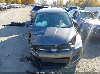 Lot #2991586623 2015 FORD ESCAPE SE