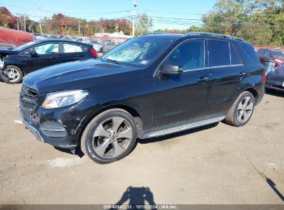 Lot #3005348371 2017 MERCEDES-BENZ GLE 350 4MATIC