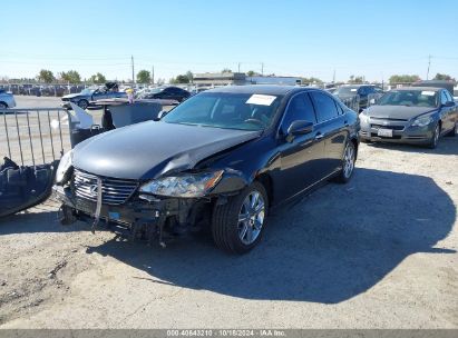 Lot #3006594057 2009 LEXUS ES 350