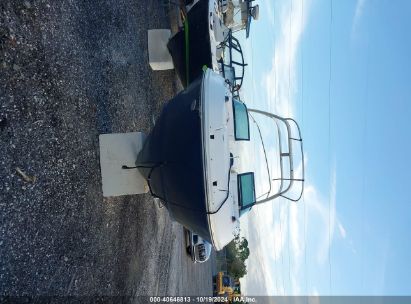 Lot #2992823420 2015 SEA RAY OTHER