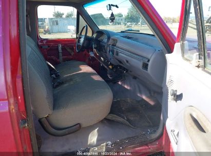 Lot #2989127418 1994 FORD F150