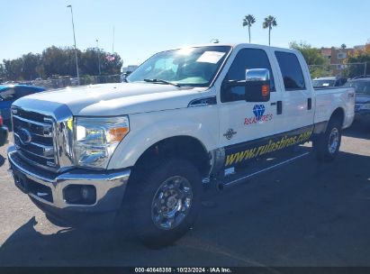 Lot #2992814266 2016 FORD F-250 XLT