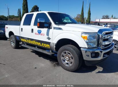 Lot #2992814266 2016 FORD F-250 XLT