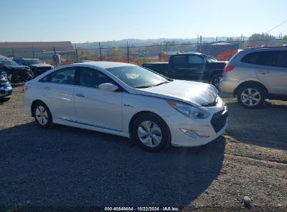 Lot #2995297977 2014 HYUNDAI SONATA HYBRID