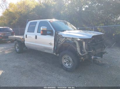 Lot #2995297952 2014 FORD F-250 XLT