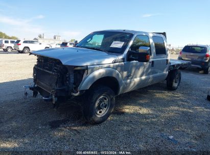 Lot #2995297952 2014 FORD F-250 XLT