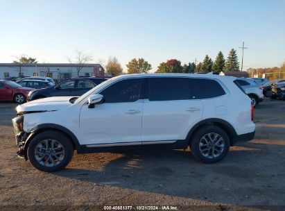 Lot #3013938826 2023 KIA TELLURIDE LX