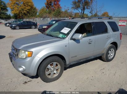 Lot #2995297903 2008 FORD ESCAPE LIMITED