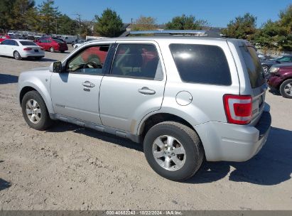 Lot #2995297903 2008 FORD ESCAPE LIMITED