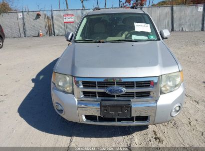 Lot #2995297903 2008 FORD ESCAPE LIMITED