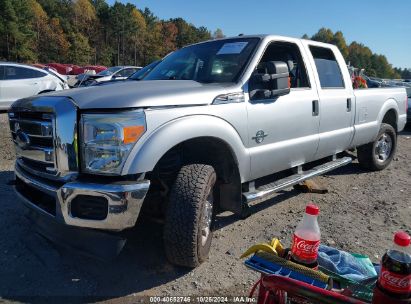 Lot #3011520677 2016 FORD F-250 XLT