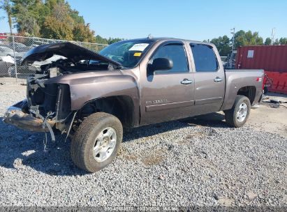 Lot #3002837237 2008 CHEVROLET SILVERADO 1500 LT1