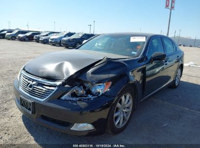 Lot #3047411867 2008 LEXUS LS 460