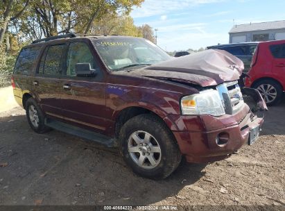 Lot #3053068380 2010 FORD EXPEDITION XLT