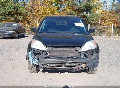 Lot #2992823696 2011 HONDA CR-V SE