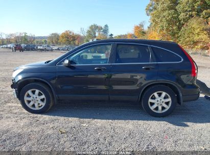 Lot #2992823696 2011 HONDA CR-V SE