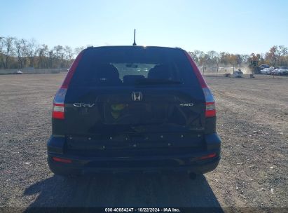 Lot #2992823696 2011 HONDA CR-V SE