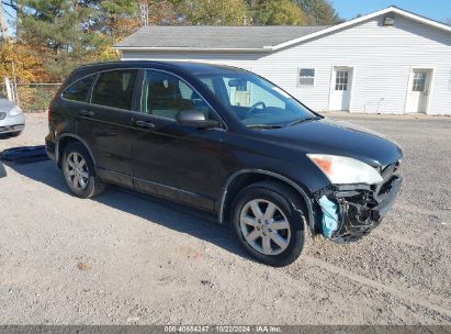 Lot #2992823696 2011 HONDA CR-V SE