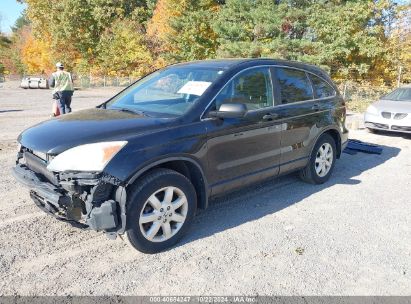 Lot #2992823696 2011 HONDA CR-V SE