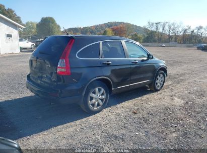 Lot #2992823696 2011 HONDA CR-V SE