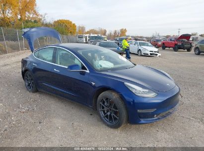 Lot #3035085655 2019 TESLA MODEL 3 LONG RANGE/MID RANGE/STANDARD RANGE/STANDARD RANGE PLUS