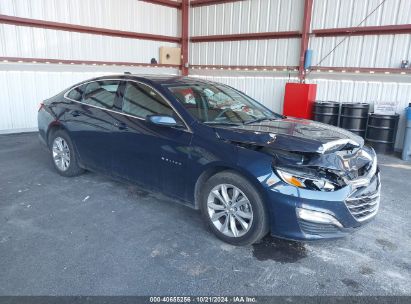 Lot #2990348165 2022 CHEVROLET MALIBU FWD LT