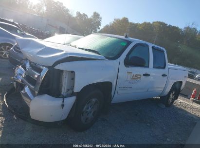 Lot #2990356942 2010 CHEVROLET SILVERADO 1500 LT