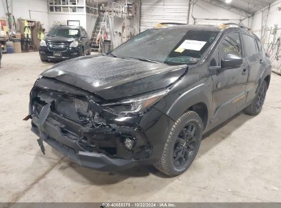 Lot #3007841852 2024 SUBARU CROSSTREK WILDERNESS