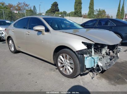 Lot #3031680932 2014 LEXUS ES 300H