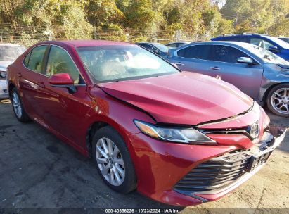 Lot #2990348118 2020 TOYOTA CAMRY LE