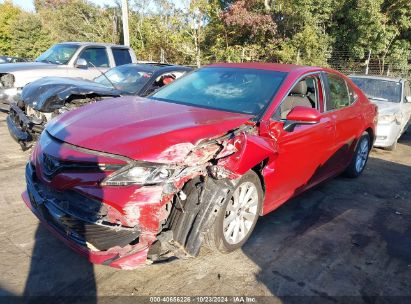 Lot #2990348118 2020 TOYOTA CAMRY LE