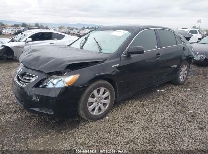 Lot #3037533124 2007 TOYOTA CAMRY HYBRID