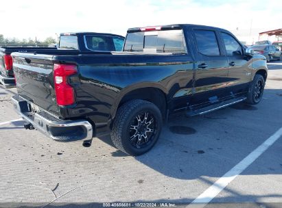 Lot #3050480719 2023 CHEVROLET SILVERADO 1500 2WD  STANDARD BED LT