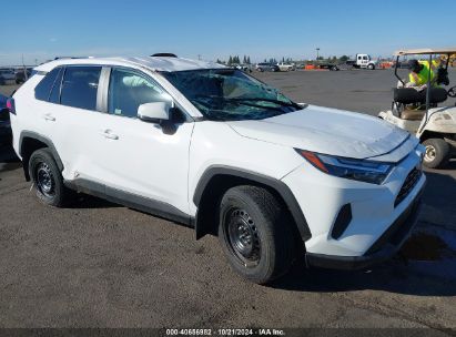 Lot #3035095452 2024 TOYOTA RAV4 LE