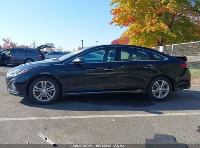 Lot #2992823622 2019 HYUNDAI SONATA SPORT