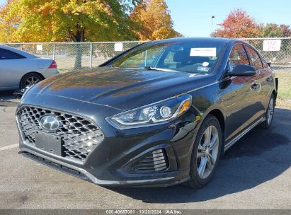 Lot #2992823622 2019 HYUNDAI SONATA SPORT