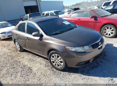 Lot #2996535538 2013 KIA FORTE EX