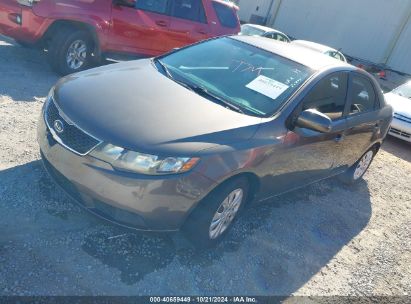 Lot #2996535538 2013 KIA FORTE EX