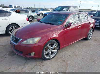 Lot #3056473250 2009 LEXUS IS 250