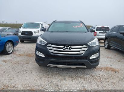 Lot #2995281437 2014 HYUNDAI SANTA FE SPORT 2.0L TURBO