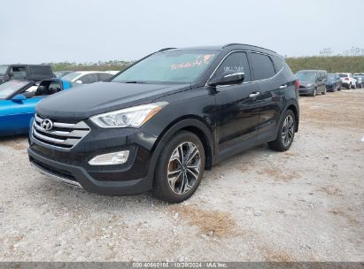 Lot #2995281437 2014 HYUNDAI SANTA FE SPORT 2.0L TURBO