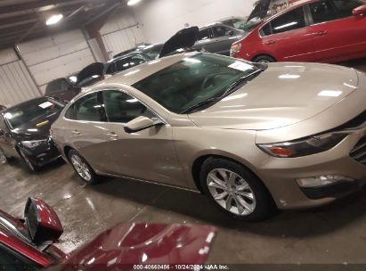 Lot #2996535541 2022 CHEVROLET MALIBU FWD LT