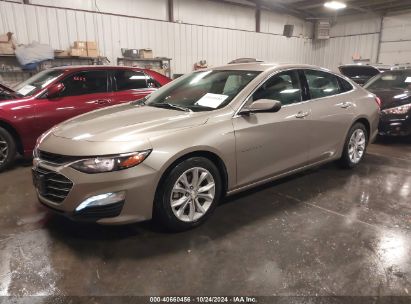 Lot #2996535541 2022 CHEVROLET MALIBU FWD LT