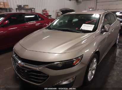 Lot #2996535541 2022 CHEVROLET MALIBU FWD LT