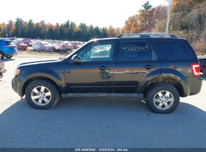 Lot #2992823220 2011 FORD ESCAPE LIMITED